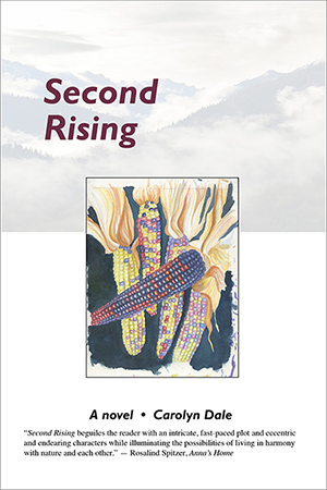 Sec_Ris_2_by_3_Web_cover.jpg